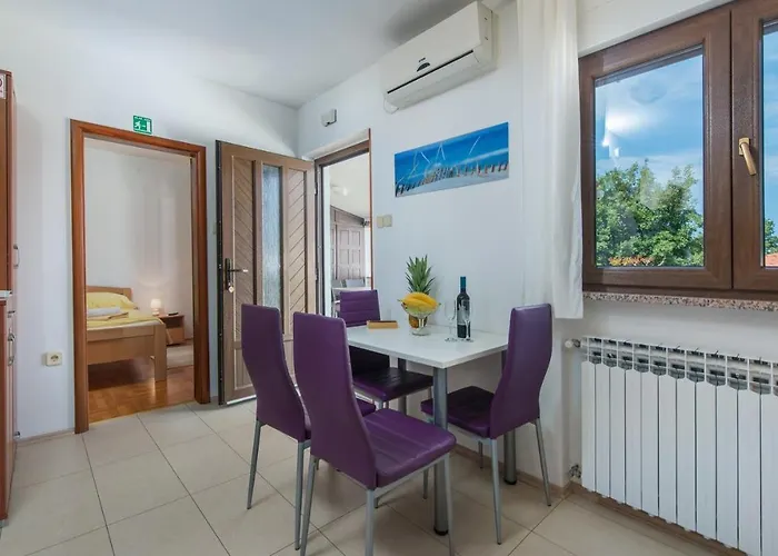 Gostinjska kuća Anitavilla Porec With Pool Vrvari